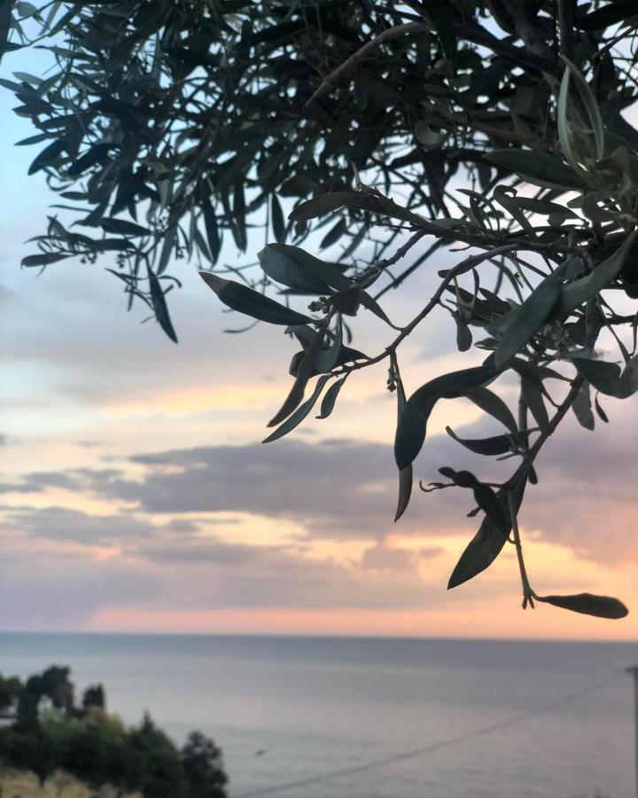 Hotel Senator Ulcinj Eksteriør billede