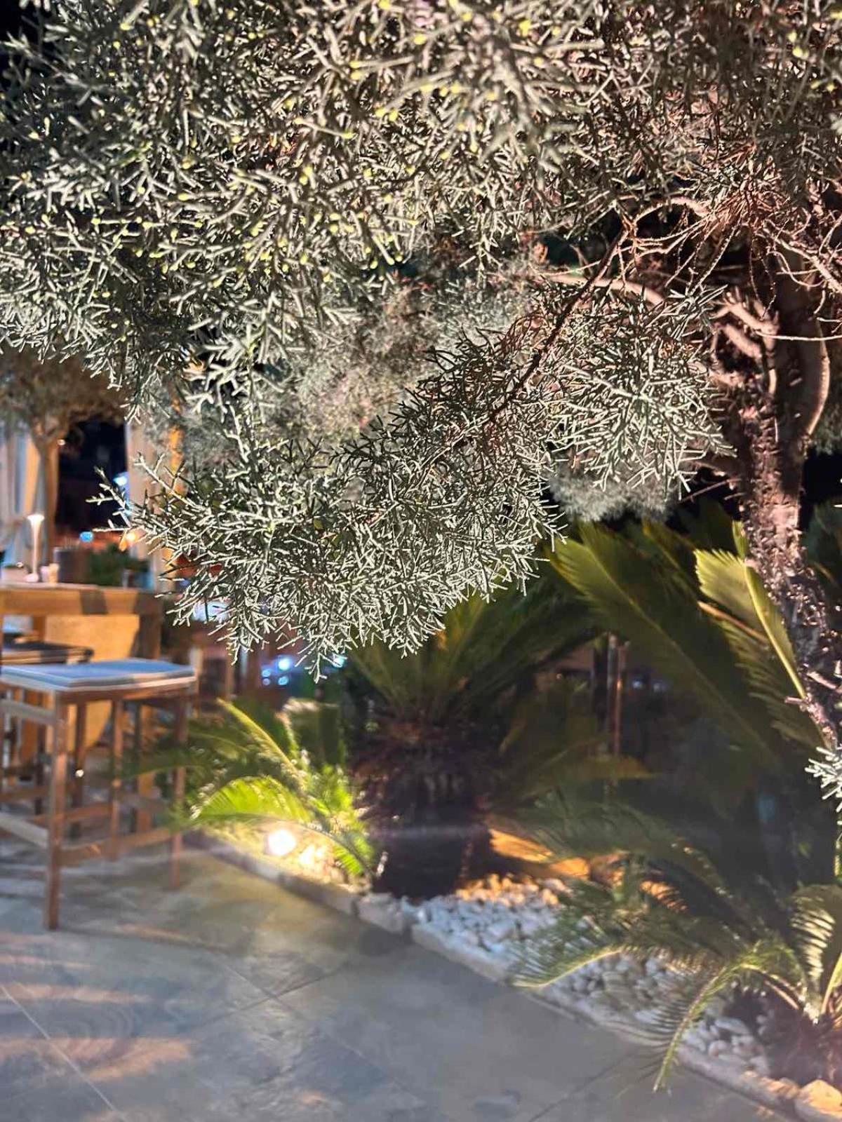 Hotel Senator Ulcinj Eksteriør billede